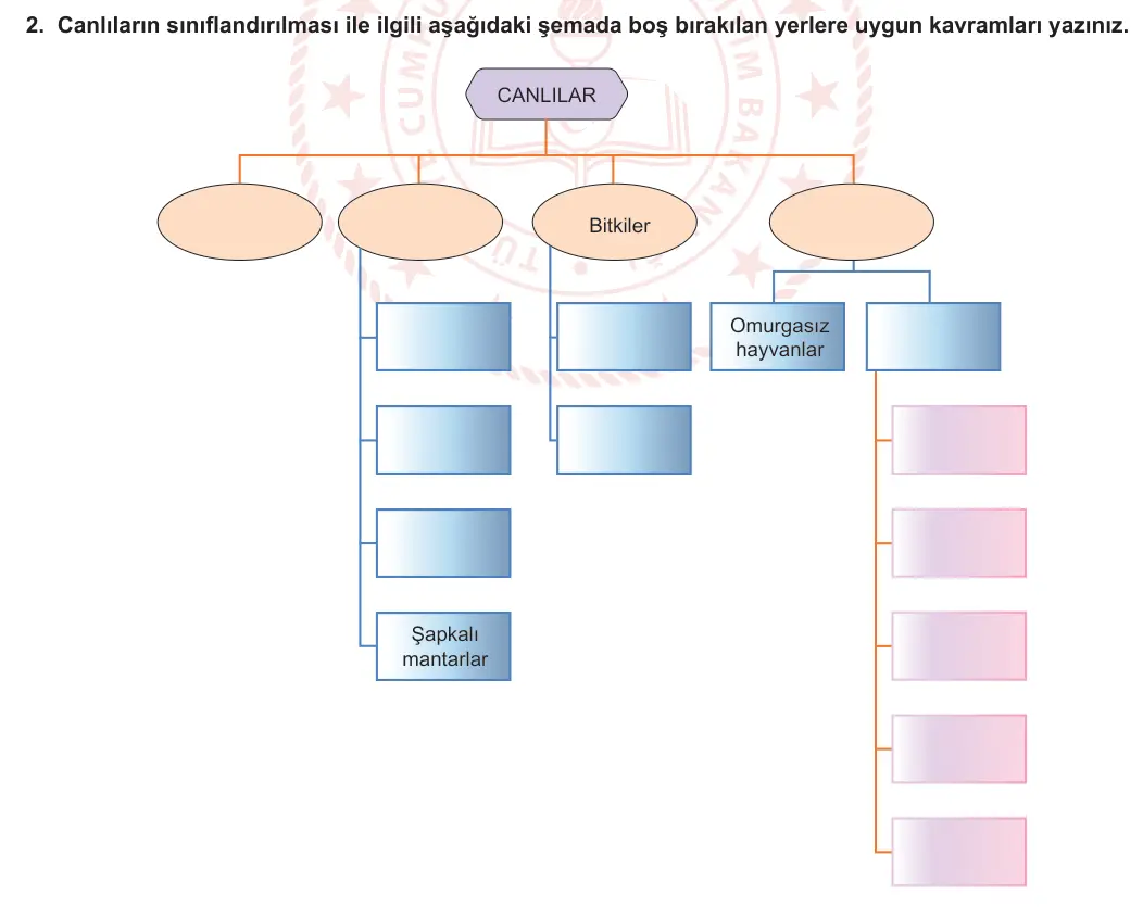 5. Sınıf Fen Bilimleri 2023-2024 1. Dönem 2. Yazılı 1. Bölüm 2. Soru görseli