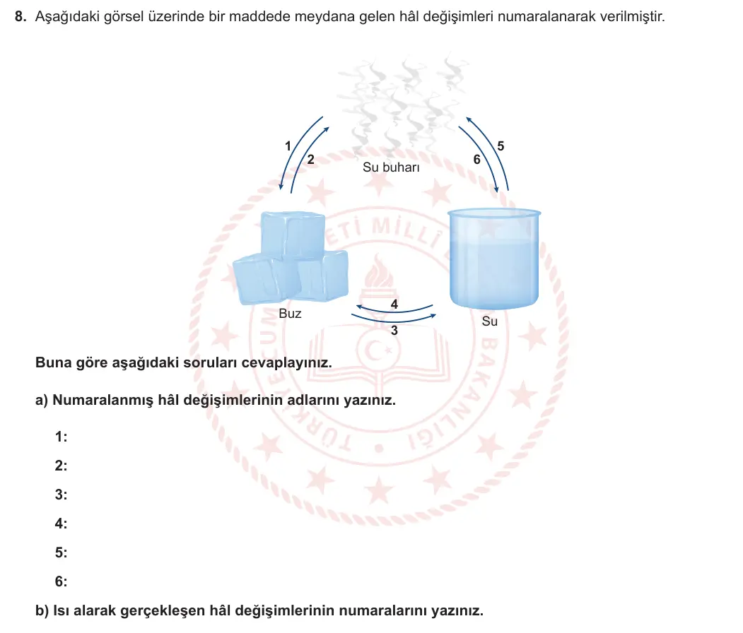 5. Sınıf Fen Bilimleri 2023-2024 1. Dönem 2. Yazılı 1. Bölüm 8. Soru görseli (1/2)