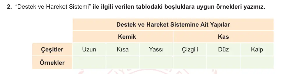 6. Sınıf Fen Bilimleri 2023-2024 1. Dönem 2. Yazılı 1. Bölüm 2. Soru görseli