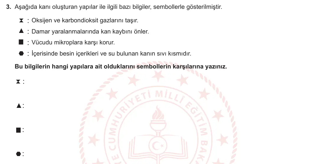6. Sınıf Fen Bilimleri 2023-2024 1. Dönem 2. Yazılı 1. Bölüm 3. Soru görseli