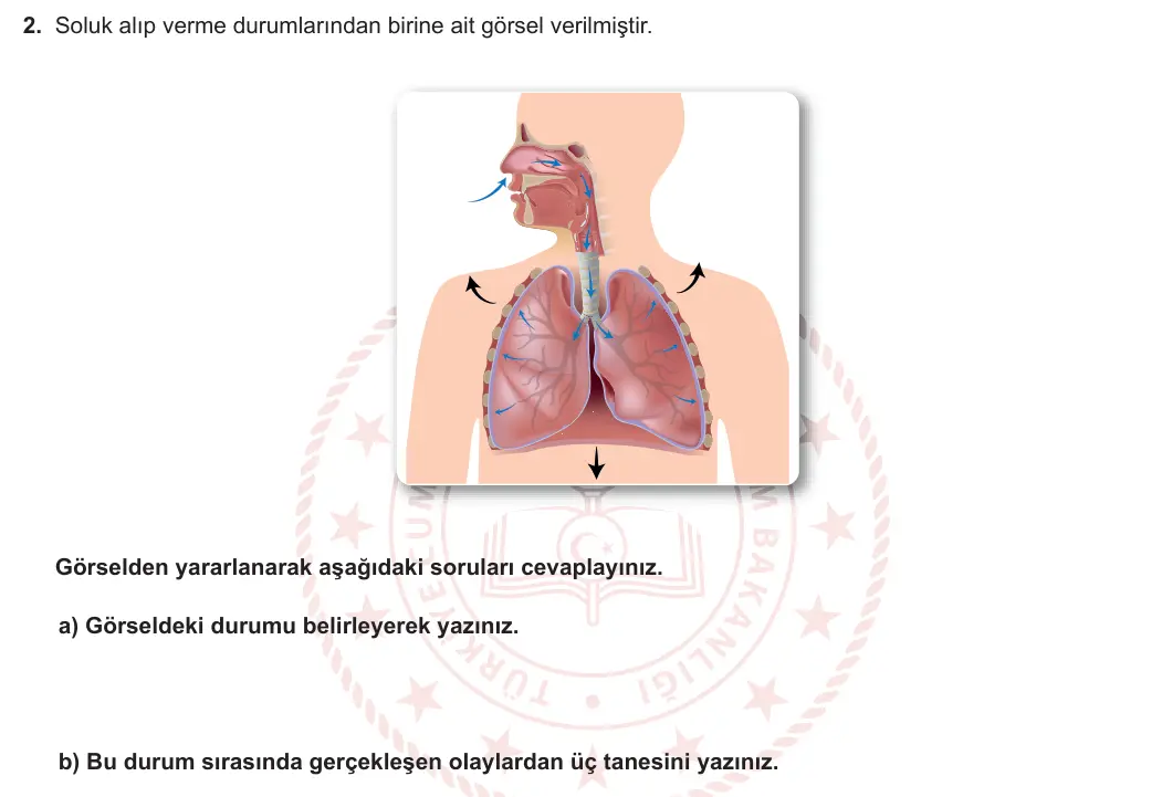 6. Sınıf Fen Bilimleri 2023-2024 1. Dönem 2. Yazılı 2. Bölüm 2. Soru görseli