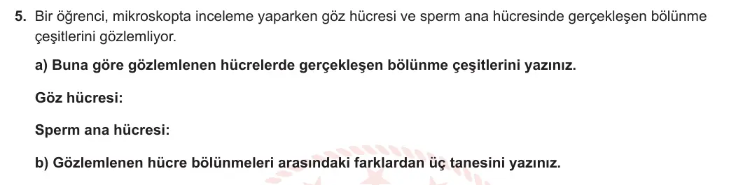 7. Sınıf Fen Bilimleri 2023-2024 1. Dönem 2. Yazılı 1. Bölüm 5. Soru görseli