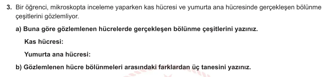 7. Sınıf Fen Bilimleri 2023-2024 1. Dönem 2. Yazılı 2. Bölüm 3. Soru görseli