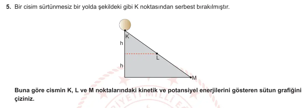 7. Sınıf Fen Bilimleri 2023-2024 1. Dönem 2. Yazılı 2. Bölüm 5. Soru görseli