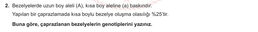 8. Sınıf Fen Bilimleri 2023-2024 1. Dönem 2. Yazılı 2. Bölüm 2. Soru görseli (1/2)