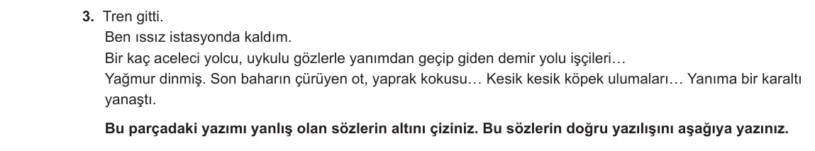 12. Sınıf Türk Dili ve Edebiyatı 2023-2024 1. Dönem 2. Yazılı 2. Bölüm 3. Soru görseli