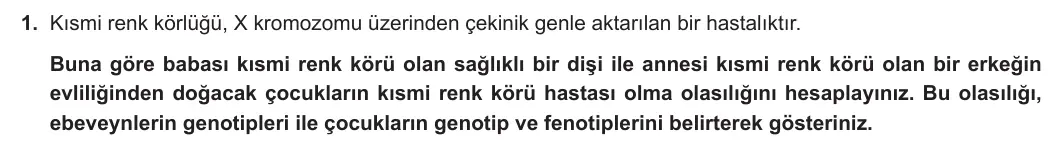 10. Sınıf Biyoloji 2023-2024 2. Dönem 1. Yazılı 1. Bölüm 1. Soru görseli