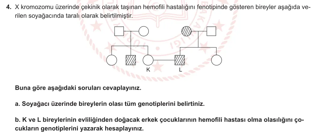 10. Sınıf Biyoloji 2023-2024 2. Dönem 1. Yazılı 1. Bölüm 4. Soru görseli