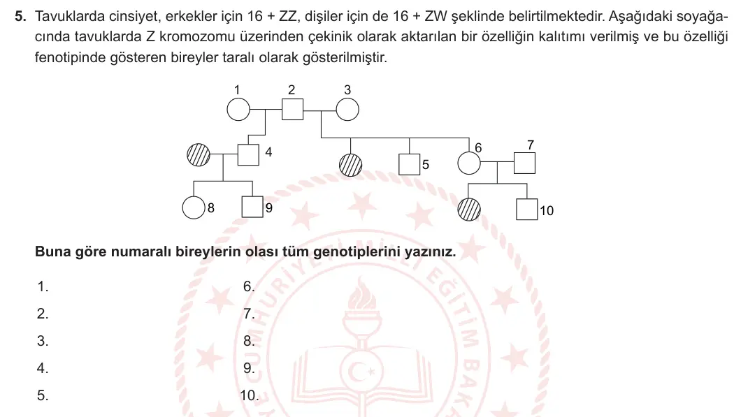 10. Sınıf Biyoloji 2023-2024 2. Dönem 1. Yazılı 1. Bölüm 5. Soru görseli