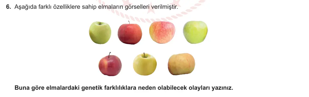 10. Sınıf Biyoloji 2023-2024 2. Dönem 1. Yazılı 1. Bölüm 6. Soru görseli
