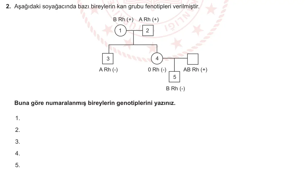 10. Sınıf Biyoloji 2023-2024 2. Dönem 1. Yazılı 2. Bölüm 2. Soru görseli