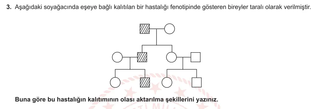10. Sınıf Biyoloji 2023-2024 2. Dönem 1. Yazılı 2. Bölüm 3. Soru görseli