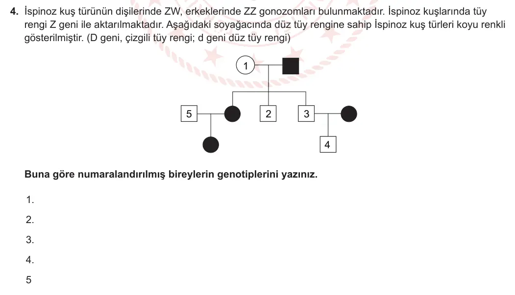 10. Sınıf Biyoloji 2023-2024 2. Dönem 1. Yazılı 2. Bölüm 4. Soru görseli