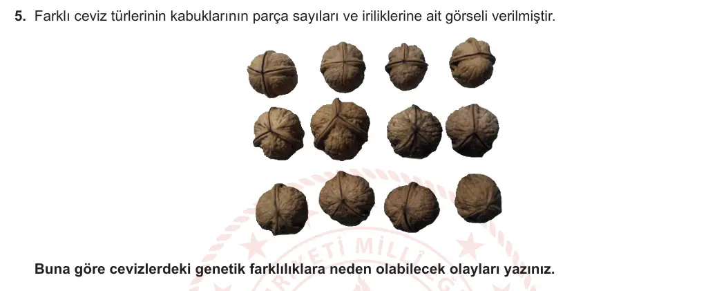 10. Sınıf Biyoloji 2023-2024 2. Dönem 1. Yazılı 2. Bölüm 5. Soru görseli