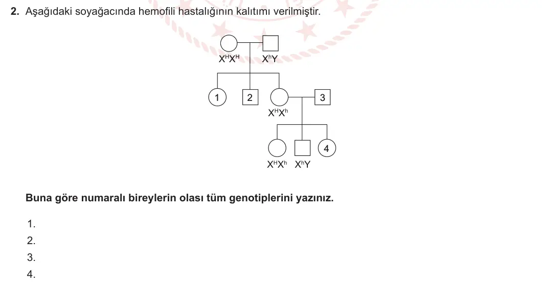 10. Sınıf Biyoloji 2023-2024 2. Dönem 1. Yazılı 3. Bölüm 2. Soru görseli
