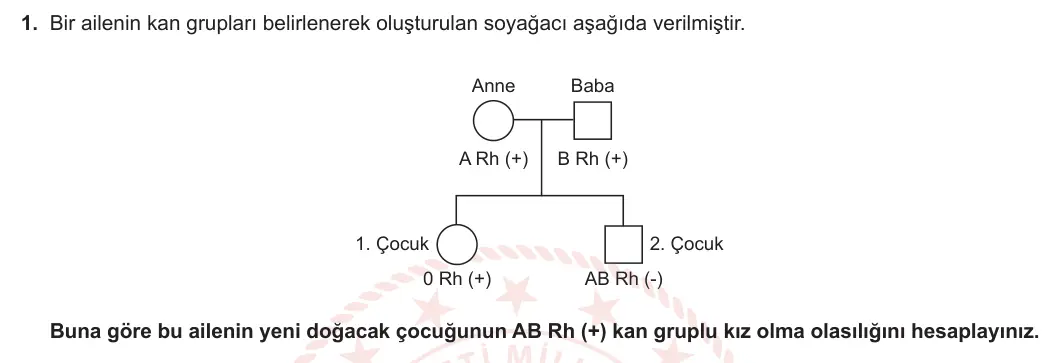 10. Sınıf Biyoloji 2023-2024 2. Dönem 1. Yazılı 4. Bölüm 1. Soru görseli