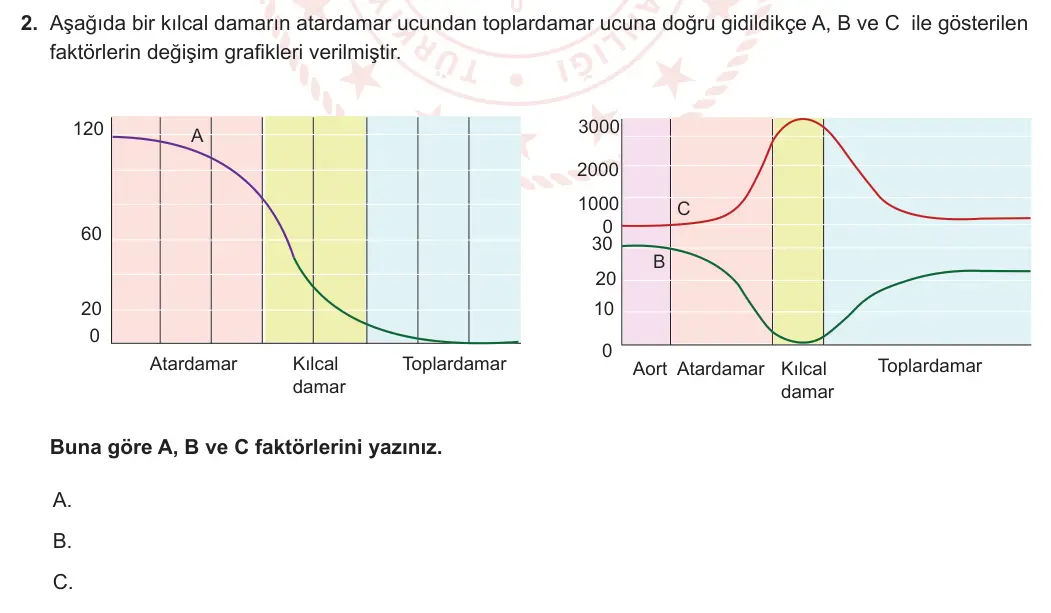11. Sınıf Biyoloji 2023-2024 2. Dönem 1. Yazılı 1. Bölüm 2. Soru görseli