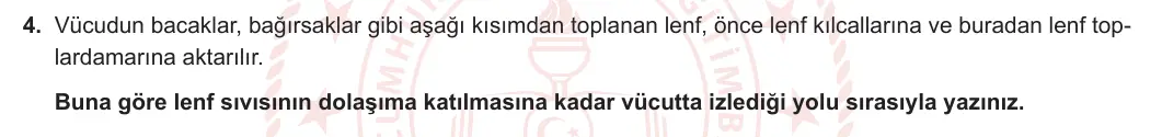 11. Sınıf Biyoloji 2023-2024 2. Dönem 1. Yazılı 1. Bölüm 4. Soru görseli
