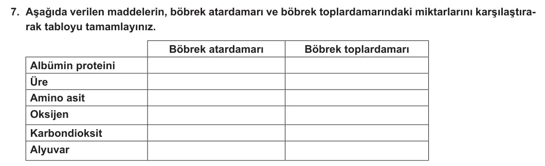 11. Sınıf Biyoloji 2023-2024 2. Dönem 1. Yazılı 2. Bölüm 7. Soru görseli