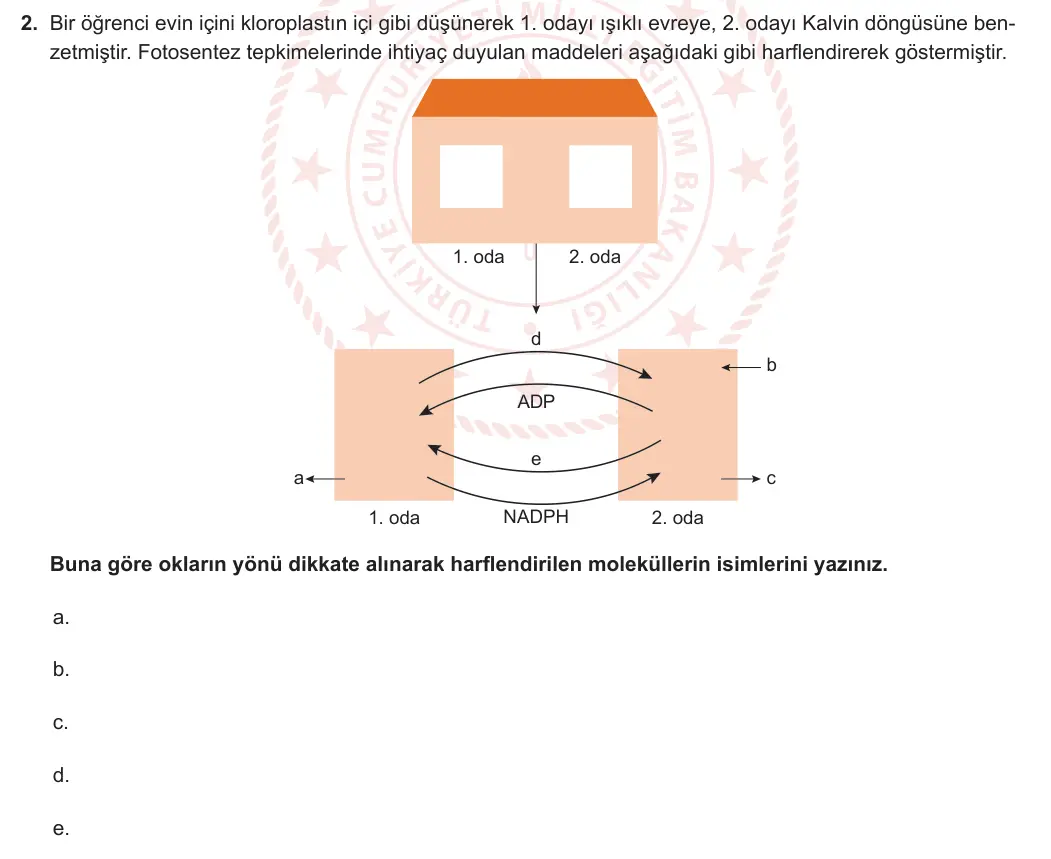 12. Sınıf Biyoloji 2023-2024 2. Dönem 1. Yazılı 1. Bölüm 2. Soru görseli