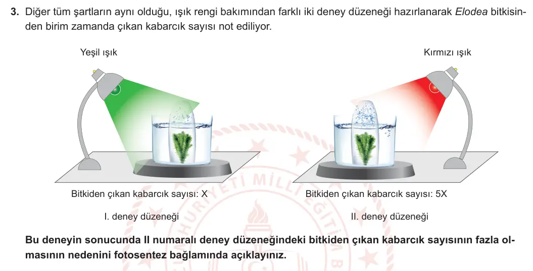 12. Sınıf Biyoloji 2023-2024 2. Dönem 1. Yazılı 1. Bölüm 3. Soru görseli