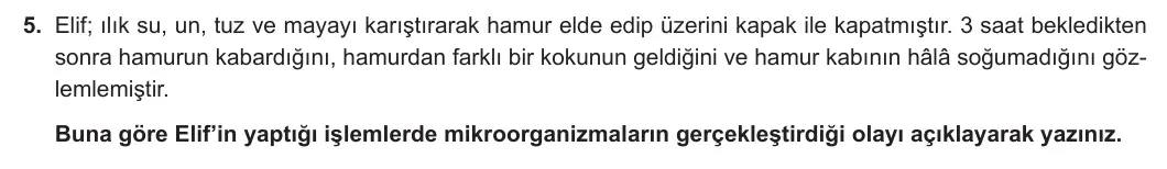 12. Sınıf Biyoloji 2023-2024 2. Dönem 1. Yazılı 1. Bölüm 5. Soru görseli