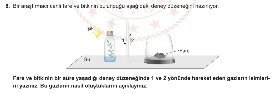 12. Sınıf Biyoloji 2023-2024 2. Dönem 1. Yazılı 1. Bölüm 8. Soru görseli