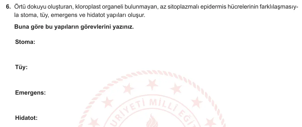 12. Sınıf Biyoloji 2023-2024 2. Dönem 1. Yazılı 2. Bölüm 6. Soru görseli