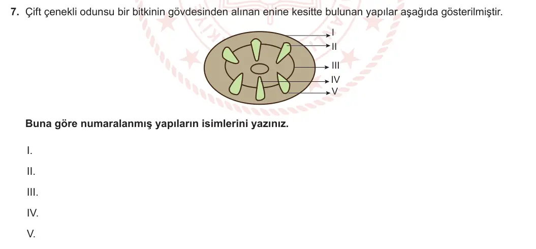 12. Sınıf Biyoloji 2023-2024 2. Dönem 1. Yazılı 2. Bölüm 7. Soru görseli