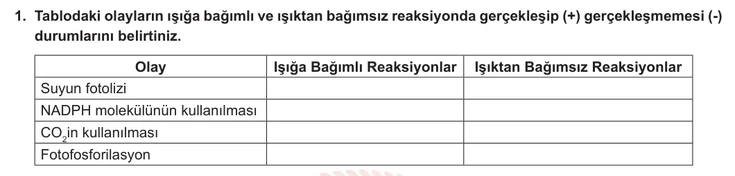 12. Sınıf Biyoloji 2023-2024 2. Dönem 1. Yazılı 3. Bölüm 1. Soru görseli