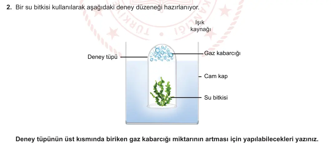 12. Sınıf Biyoloji 2023-2024 2. Dönem 1. Yazılı 3. Bölüm 2. Soru görseli