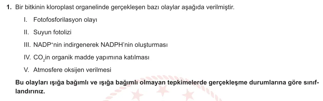 12. Sınıf Biyoloji 2023-2024 2. Dönem 1. Yazılı 4. Bölüm 1. Soru görseli