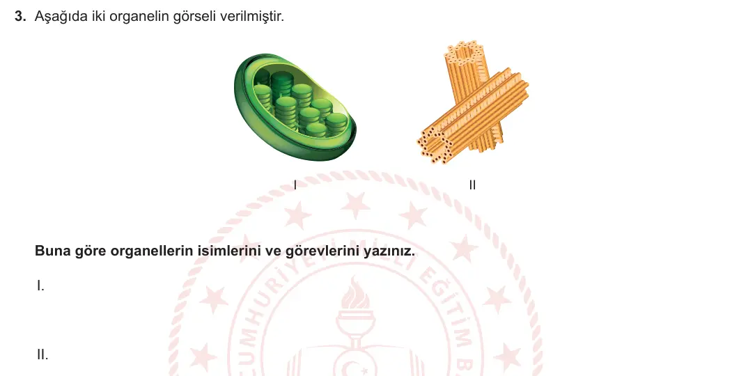 9. Sınıf Biyoloji 2023-2024 2. Dönem 1. Yazılı 1. Bölüm 3. Soru görseli