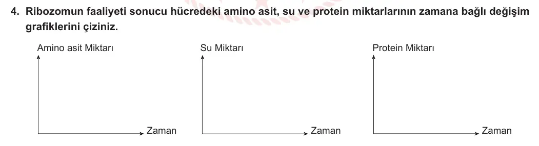 9. Sınıf Biyoloji 2023-2024 2. Dönem 1. Yazılı 1. Bölüm 4. Soru görseli