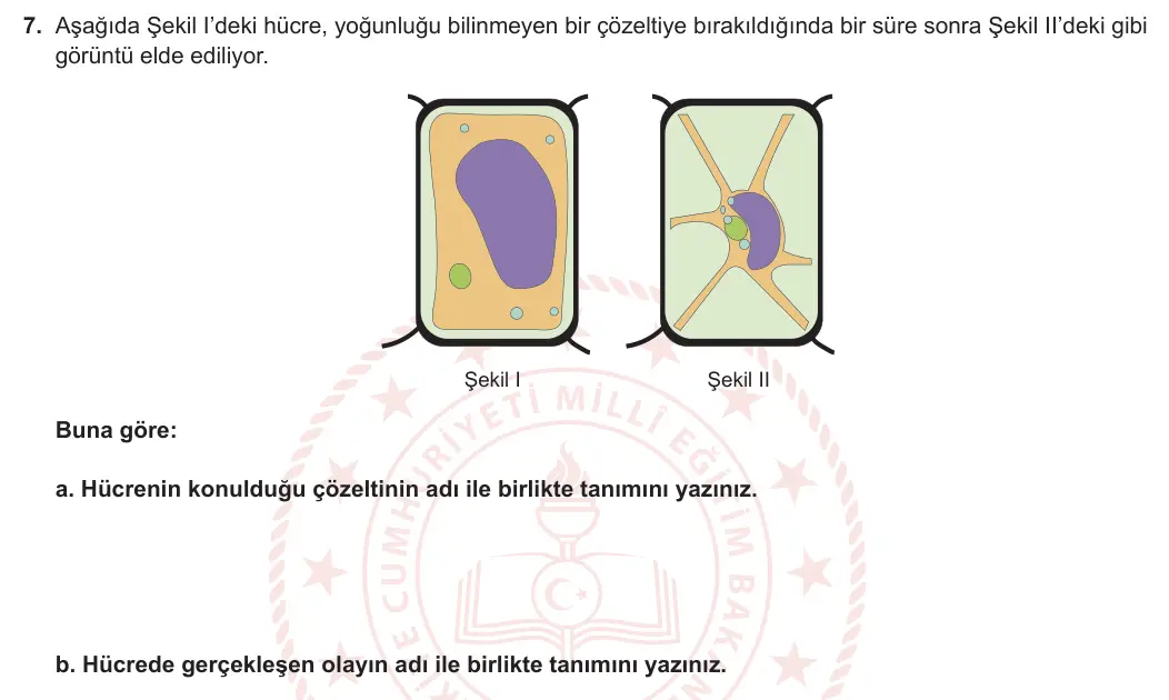 9. Sınıf Biyoloji 2023-2024 2. Dönem 1. Yazılı 1. Bölüm 7. Soru görseli