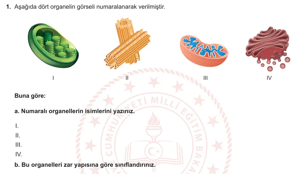 9. Sınıf Biyoloji 2023-2024 2. Dönem 1. Yazılı 2. Bölüm 1. Soru görseli