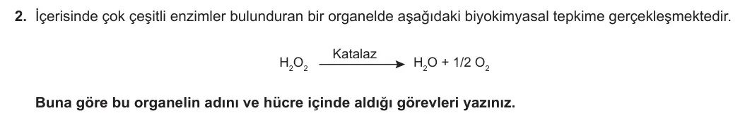 9. Sınıf Biyoloji 2023-2024 2. Dönem 1. Yazılı 2. Bölüm 2. Soru görseli