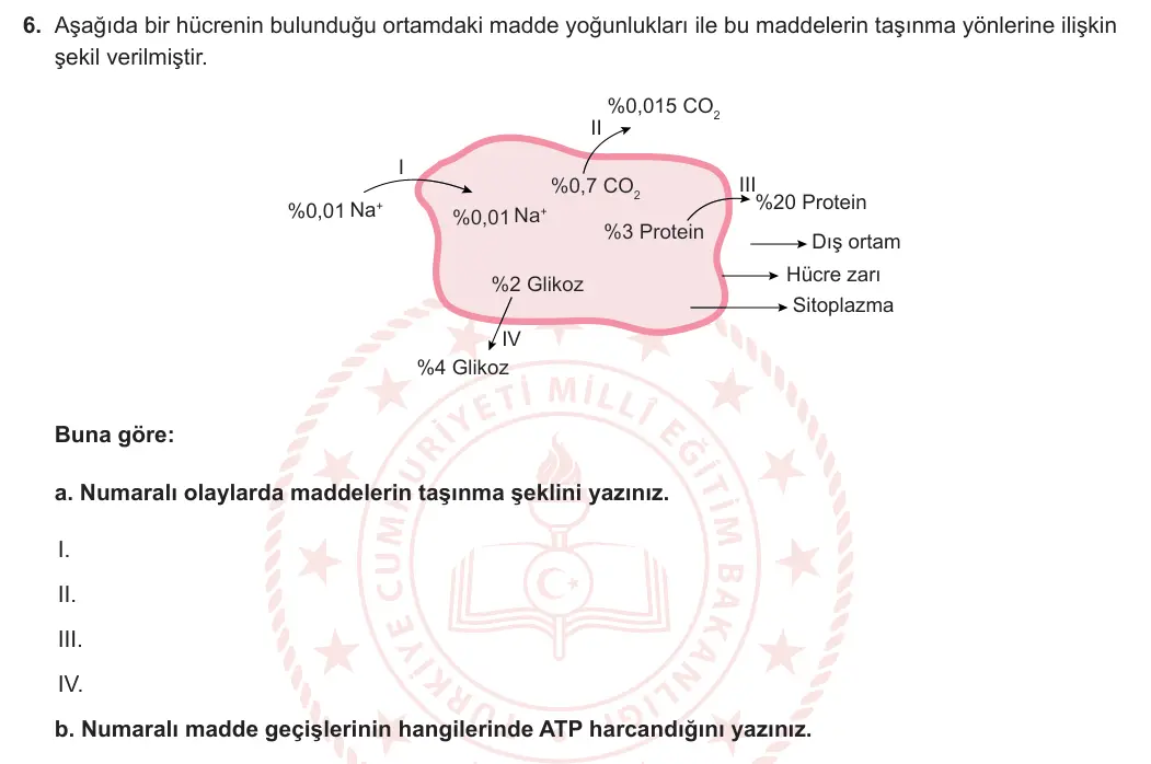 9. Sınıf Biyoloji 2023-2024 2. Dönem 1. Yazılı 2. Bölüm 6. Soru görseli