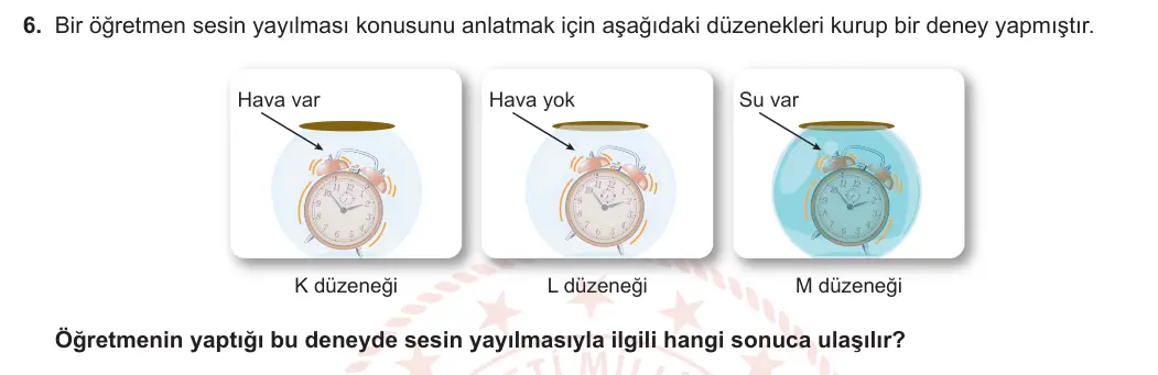 6. Sınıf Fen Bilimleri 2023-2024 2. Dönem 1. Yazılı 1. Bölüm 6. Soru görseli