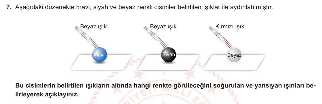7. Sınıf Fen Bilimleri 2023-2024 2. Dönem 1. Yazılı 1. Bölüm 7. Soru görseli