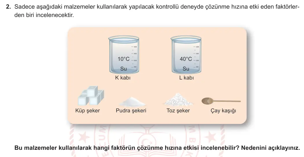 7. Sınıf Fen Bilimleri 2023-2024 2. Dönem 1. Yazılı 2. Bölüm 2. Soru görseli
