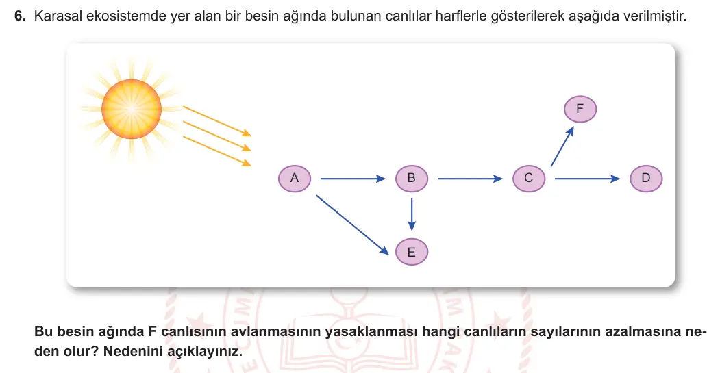 8. Sınıf Fen Bilimleri 2023-2024 2. Dönem 1. Yazılı 1. Bölüm 6. Soru görseli