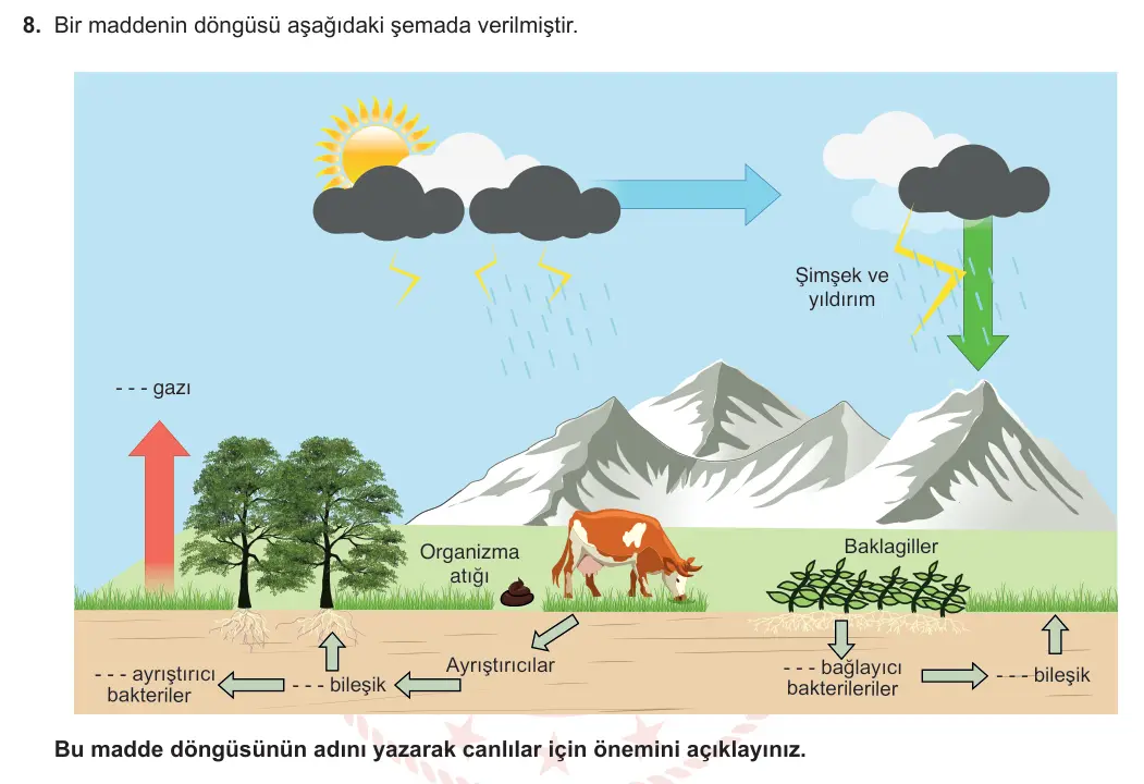 8. Sınıf Fen Bilimleri 2023-2024 2. Dönem 1. Yazılı 1. Bölüm 8. Soru görseli