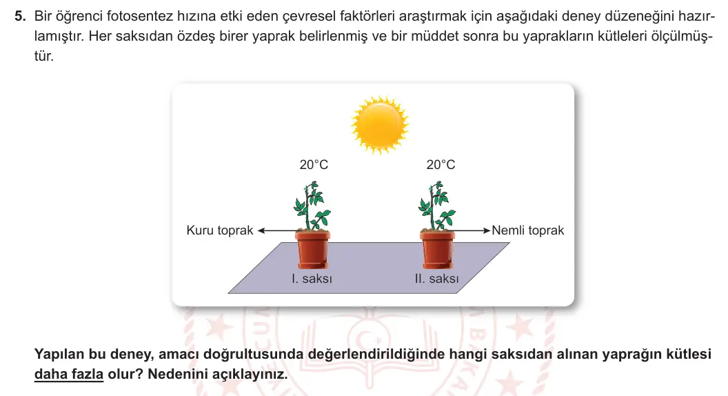 8. Sınıf Fen Bilimleri 2023-2024 2. Dönem 1. Yazılı 2. Bölüm 5. Soru görseli