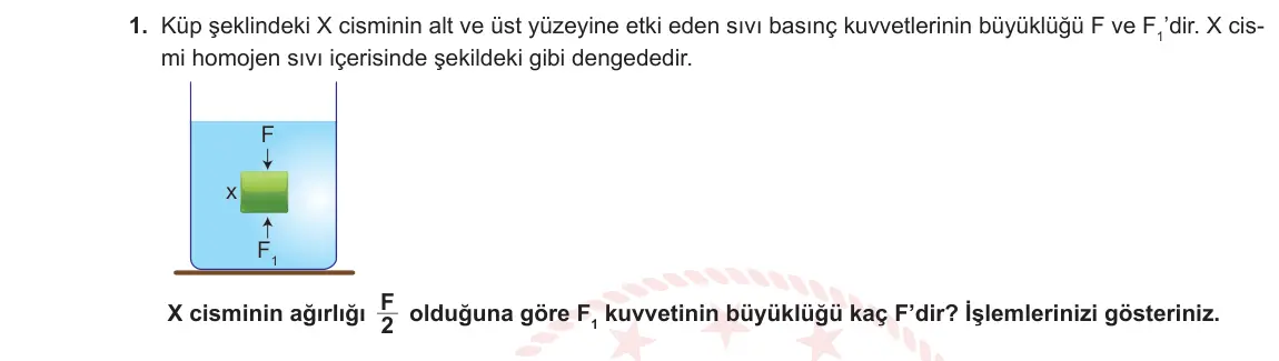 10. Sınıf Fizik 2023-2024 2. Dönem 1. Yazılı 4. Bölüm 1. Soru görseli