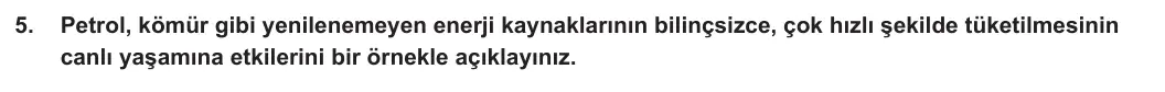 6. Sınıf Sosyal Bilgiler 2023-2024 2. Dönem 1. Yazılı 2. Bölüm 5. Soru görseli