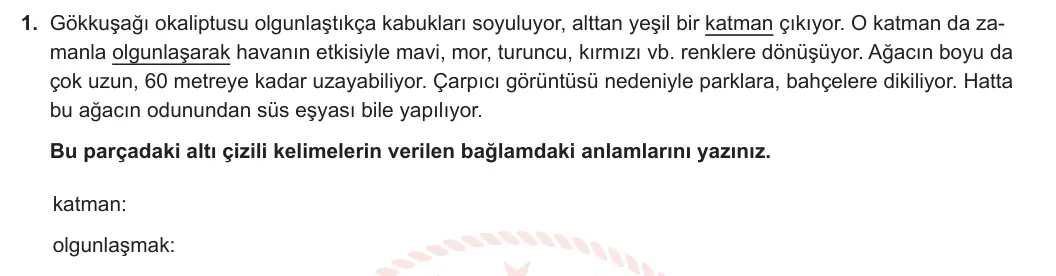 5. Sınıf Türkçe 2023-2024 2. Dönem 1. Yazılı 2. Bölüm 1. Soru görseli