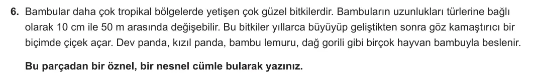 5. Sınıf Türkçe 2023-2024 2. Dönem 1. Yazılı 2. Bölüm 6. Soru görseli