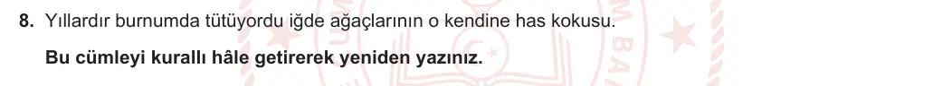8. Sınıf Türkçe 2023-2024 2. Dönem 1. Yazılı 1. Bölüm 8. Soru (Ferman Yayınları) görseli