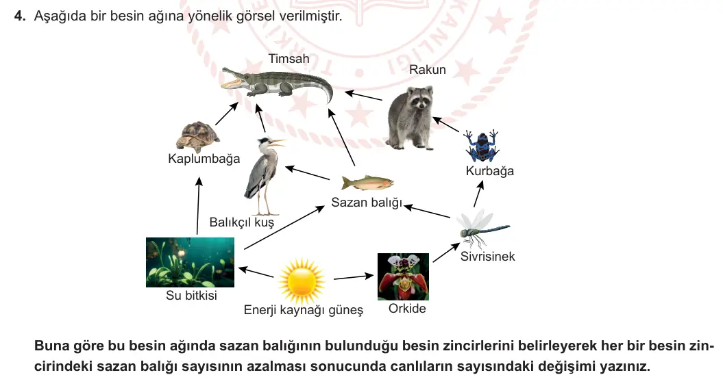 10. Sınıf Biyoloji 2023-2024 2. Dönem 2. Yazılı 1. Bölüm 4. Soru görseli